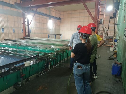 Harga bagus Anodizing Line Spray Rinsing Device. Sistem Semprot Perawatan Permukaan Aluminium. Teknologi Guangdong MEI-AL. On line